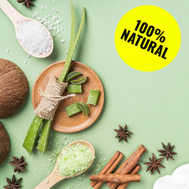Aloe vera, sale marino, cannella e anice stellato su sfondo verde.